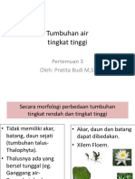 TUMBUHAN AIR TINGKAT TINGGI