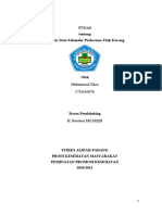 Muhammad Zikra - Analisis Data Sekunder Puskesmas Ulak Karang