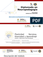 Unidad 1. Aspectos Básicos Del Neurodesarrollo y de La Plasticidad Cerebral