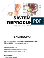 11 AF - Sistem Reproduksi Pria