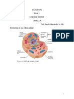 Biología General-Virtual 2dop