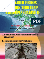 Eksogen Pelapukan (Weathering)