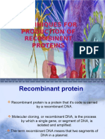 REcombinent Protins