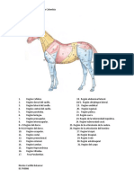 Topografia Del Equino Foro 2