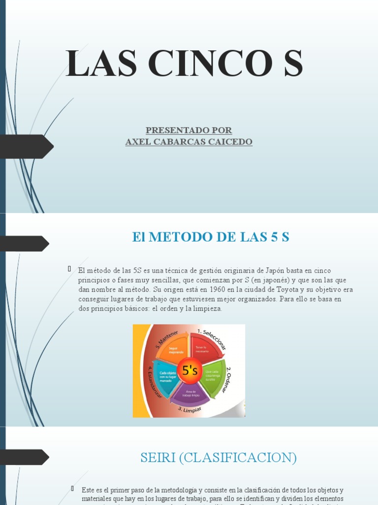 Las Cinco S | PDF | Business | Science