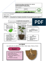 RETROALIMENTACIÓN C NATURALES LUNES  20 DE MARZO