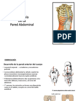 Paredabdominal