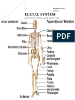 SKELETAL SYSTEM