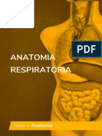 Anatomia Respiratoria