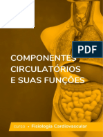 componentes-circulatorios
