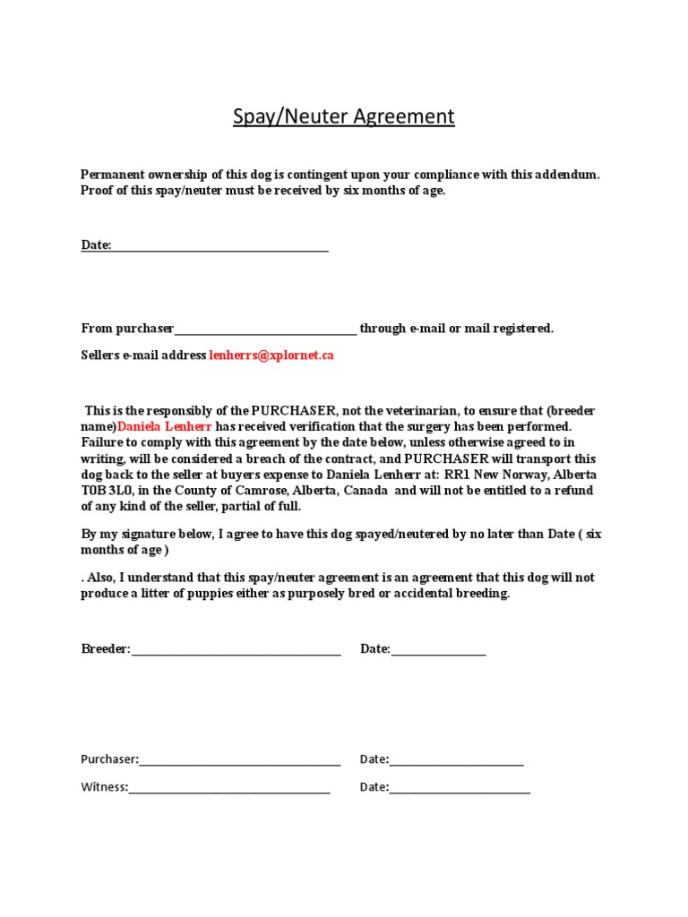 Spay-Neuter Schnoodle | PDF