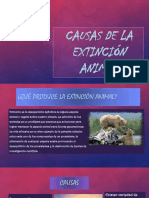 Causas de La Extinción Animal