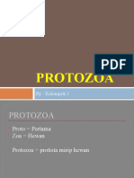 Protozoa