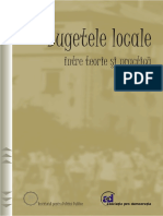 Bugetele Locale Studiu IPP APD