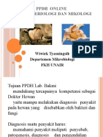 PPDH Bakmi 1