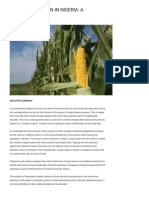 Maize Production in Nigeria - A Business Plan - Agroraf
