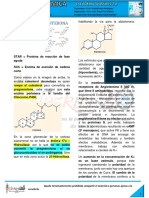 13-B-16-10-18-Síntesis de Aldosterona