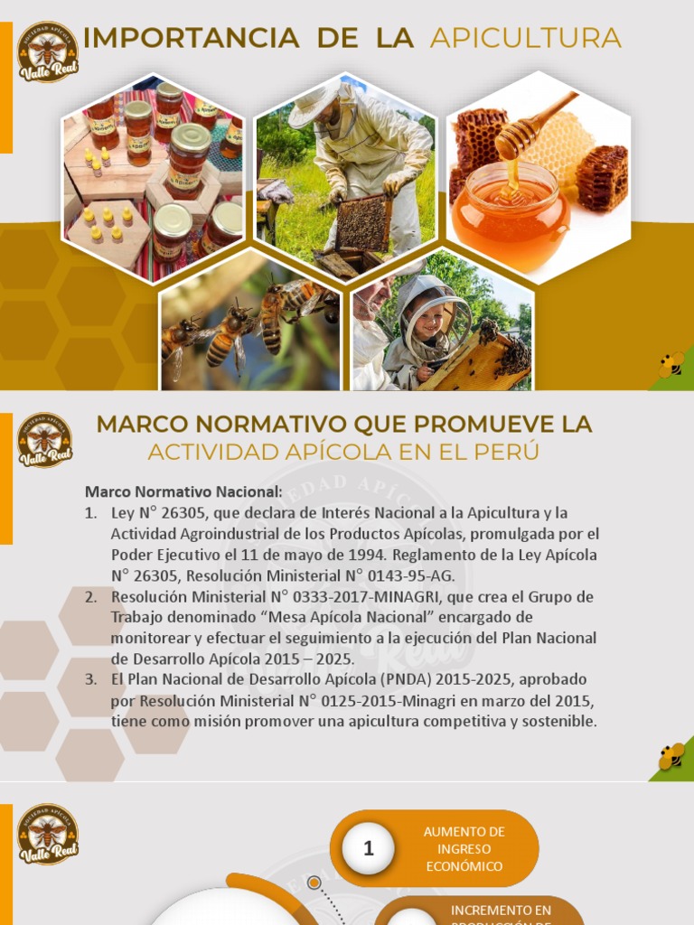Importancia y Beneficios de la Apicultura | PDF | Apicultura | Miel