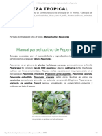 ► Manual básico para el cultivo de plantas del género Peperomia