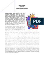 Lab - Cardiologia Clase 1 - Anato, Fisio y Semio