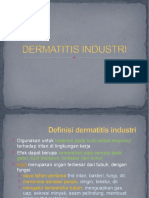 4-Dermatitis Industri