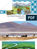 Ecosistemas en Chile