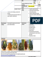 9k - Interjero - Puošybinė - Detalė - Šviestuvas