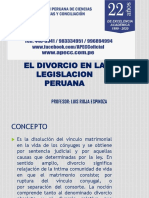 El Divorcio en La Legislacion Peruana: Profesor: Luis Rioja Espinoza