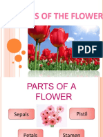 Partsoftheflower 160715111306