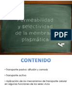 Permeabilidad PDF