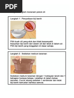 Kemahiran Hidup PPKI Perkebunan Menanam Cili