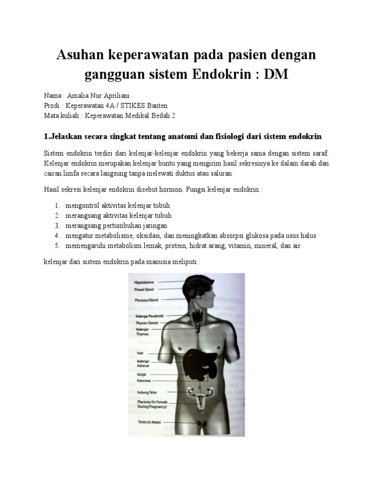 Asuhan Keperawatan pada DM dan Hormon | PDF