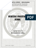 Derecho Procesal Penal-Material de Apoyo - Rossanita López 2021