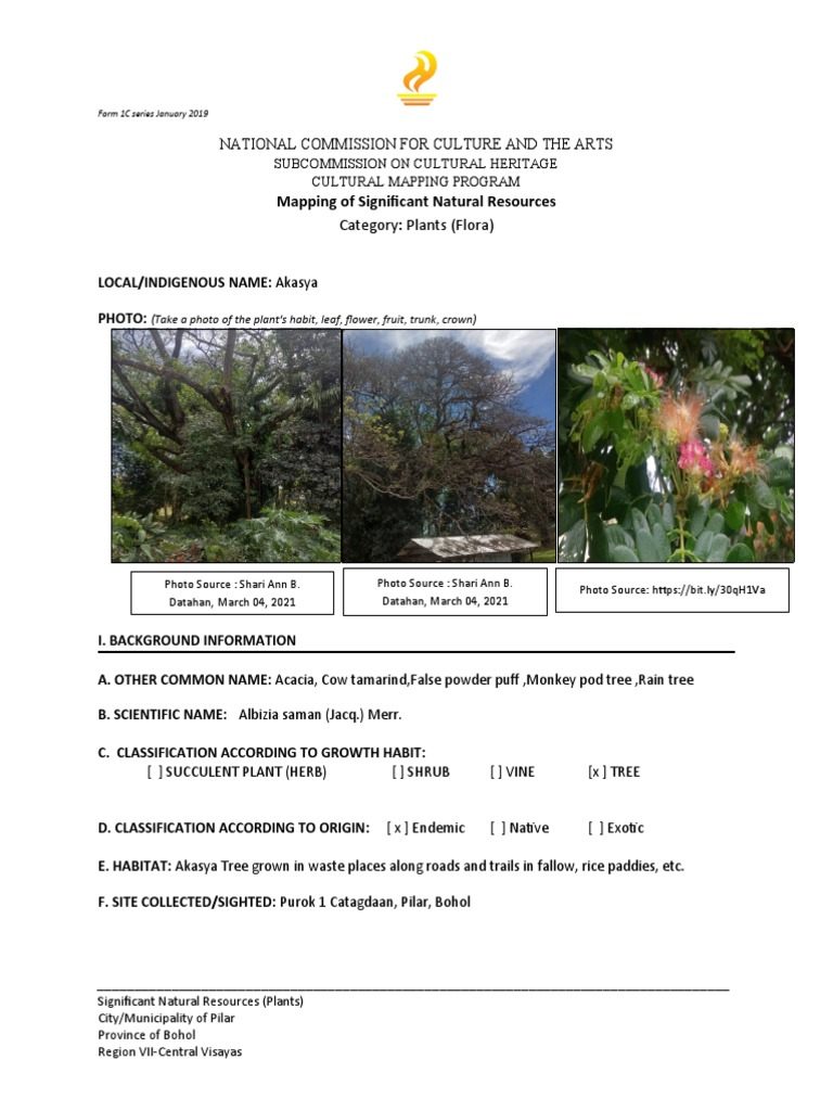 Akasya Tree: Medicinal Uses for Diarrhea | PDF | Trees | Fruit