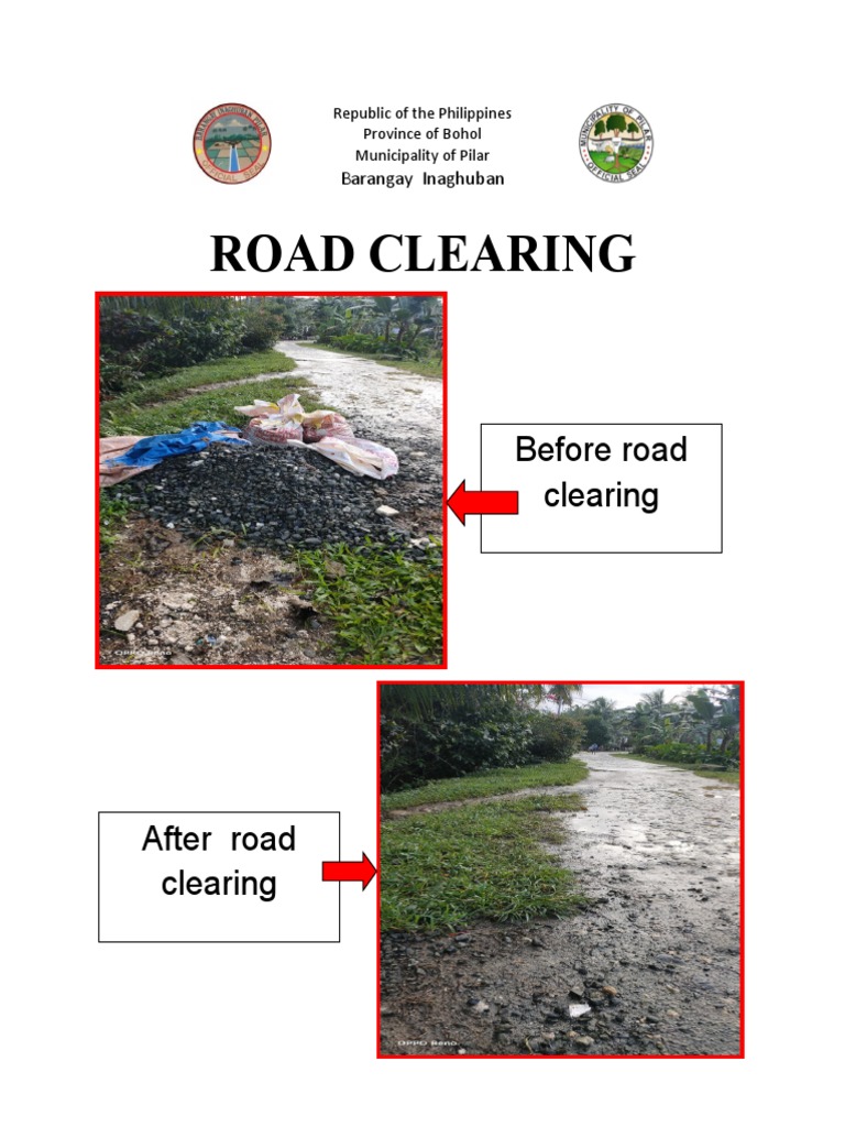 Road Clearing Report Sample Pdf