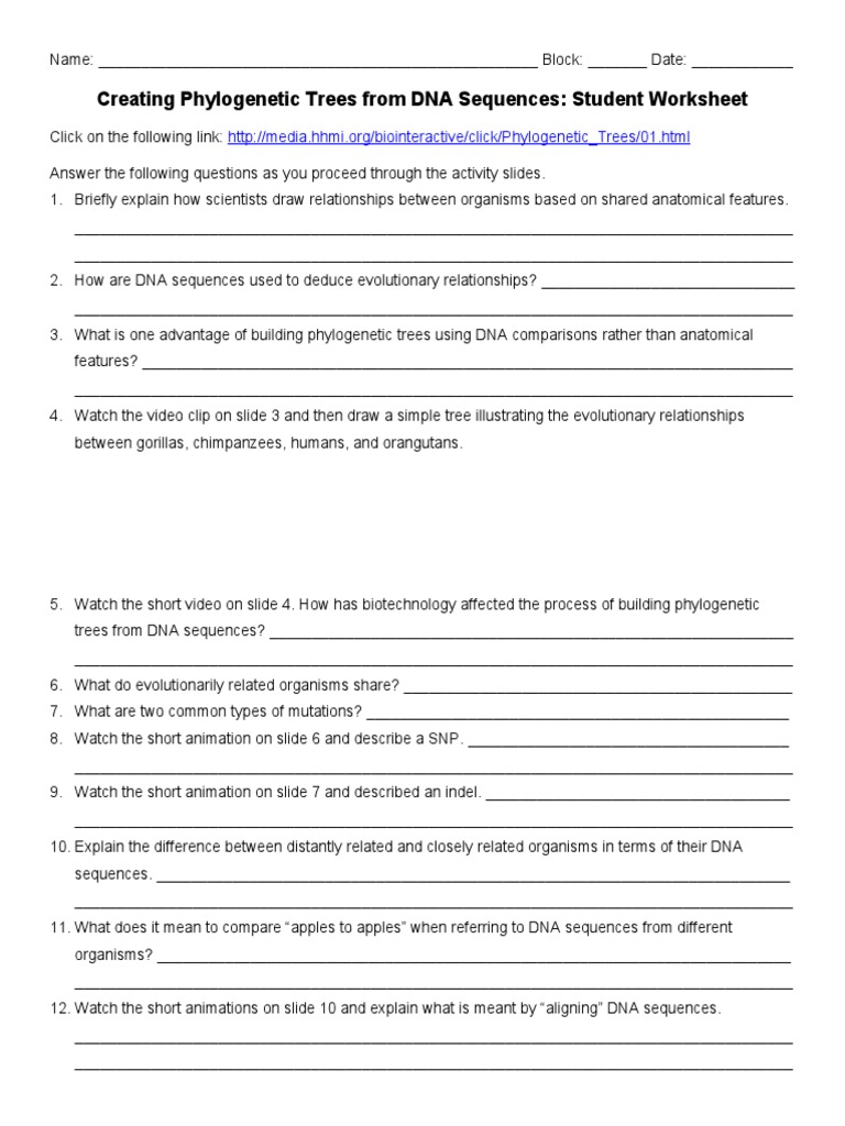 Phylogenetic Tree Worksheet Click and Learn | PDF