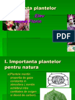 Importanta Plantelor