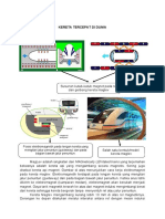 MAGLEV] Kereta Maglev dan Prinsip Kerjanya