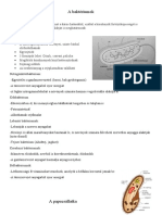 1.A Baktériumok Papucsállatka Zöld Szemes Ostoros