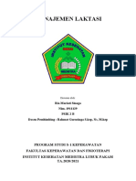 Proposal Riamariati Sinaga