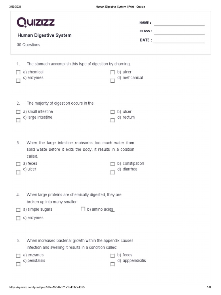Human Digestive System Quiz PDF Digestion Human Digestive System