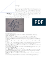 Cara Menggunakan Microscope