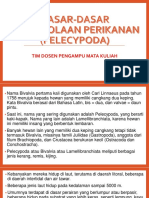 DDPP Pelecypoda 2021