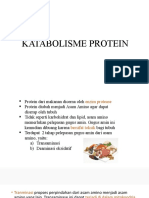 Katabolisme Protein