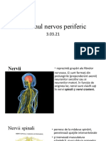 Sistemul Nervos Perifericcl8