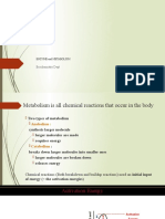 Biochemistry Dept: Enzyme and Metabolism