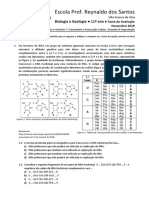 BioGeo11 Teste DNA Reprod Mitose Meiose Ciclos 2019