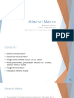 Mineral Makro: Functions, Sources and Deficiency