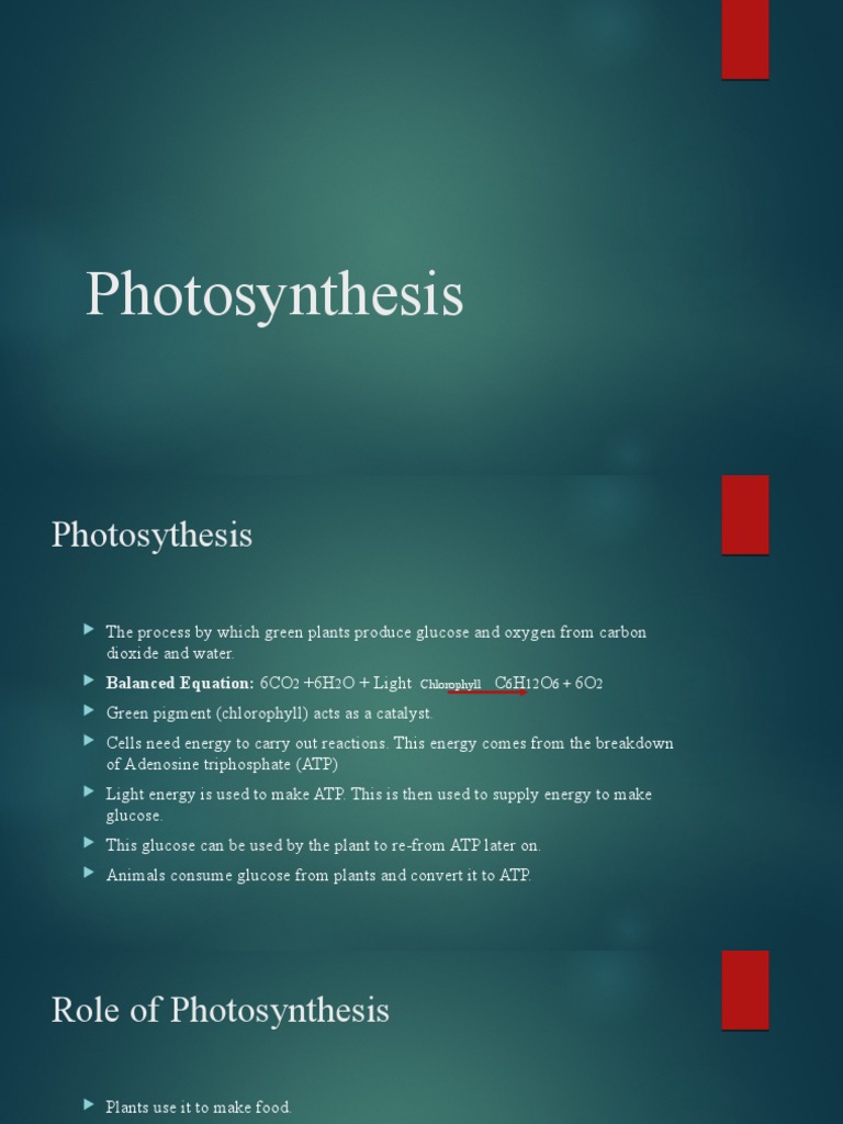 Photosynthesis Process Explained | PDF | Chlorophyll | Photosynthesis