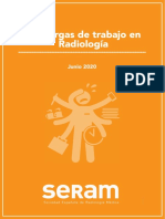 Cargas_trabajo_SERAM_julio2020